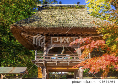 由布院佛寺秋葉 91614264