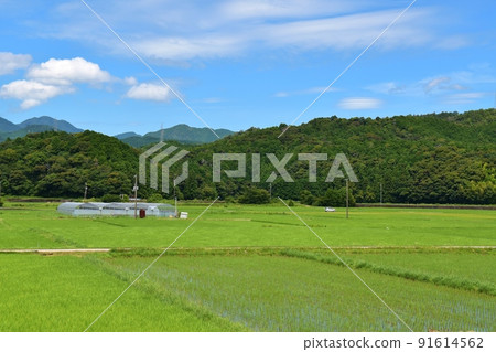 Awa-Kainan scenery Tokushima 91614562