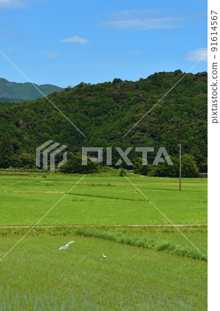 Awa-Kainan scenery Tokushima Awa-Kainan scenery Tokushima 91614567
