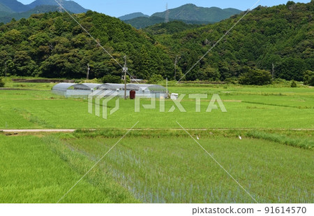 阿波海南風光 德島 阿波海南風光 德島 91614570
