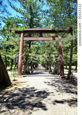 到八雲站在尋找邊緣線的神社......“出雲大社” 91615312