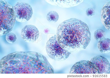 White blood cells with nucleus and granule . Transparency cell membrane . Medical and science concept background . 3D render . White blood cells with nucleus and granule . Transparency cell membrane . Medical and science concept background . 3D render . 91615583