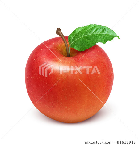 Apple apple illustration real Apple apple illustration real 91615913