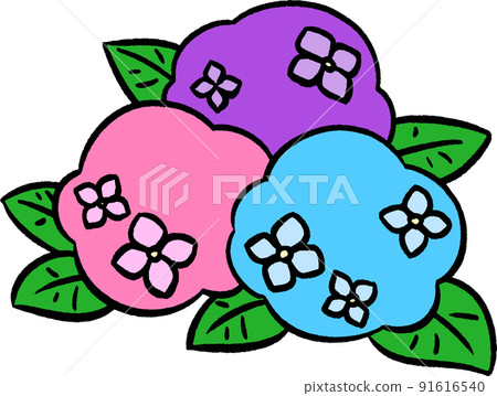 Three-color simple hydrangea ① Hand-drawn style illustration material Three-color simple hydrangea ① Hand-drawn style illustration material 91616540
