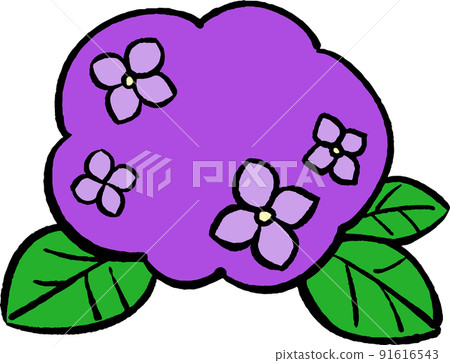 Simple hydrangea ① Hand-drawn style illustration material Simple hydrangea ① Hand-drawn style illustration material 91616543