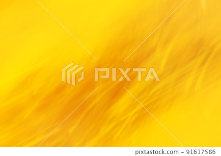 Sunny summer bright sweet blurred golden shining backdrop 91617586