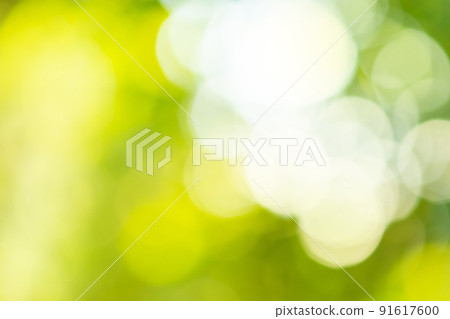 Green bokeh defocused blurry effect surface. Green defocused lights background. Green bokeh defocused blurry effect surface. Green defocused lights background. 91617600