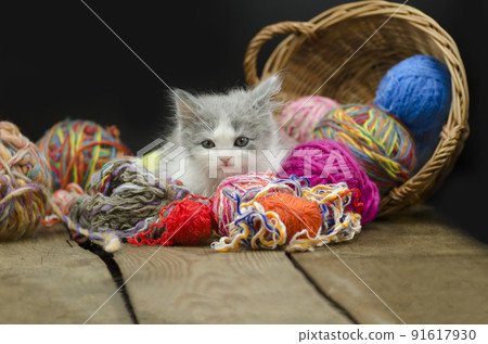 Cute kitten with ball of yarn on black background. 91617930
