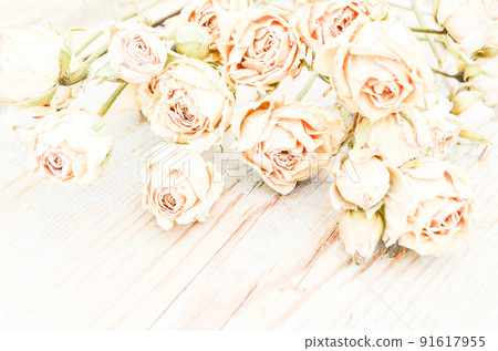 Withered rose on wood 91617955