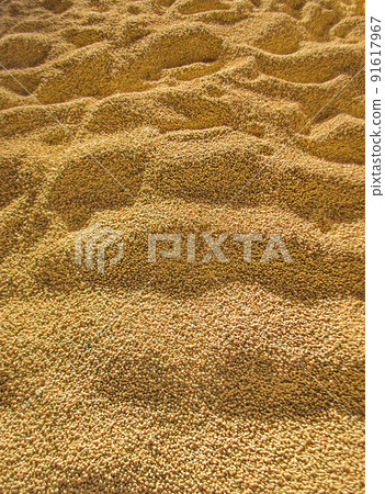 Heap of dried peas 91617967