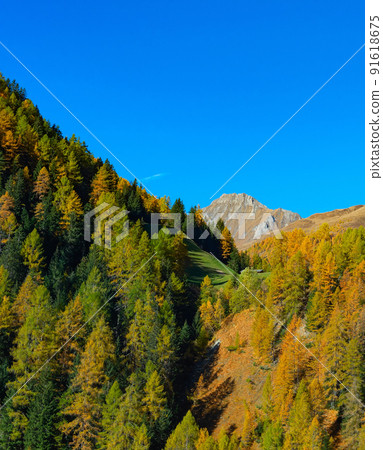 Forest mountain landscape Alps Austria Forest mountain landscape Alps Austria 91618675