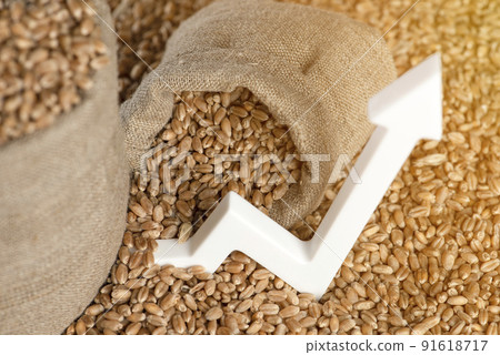 World food crisis. Grains of wheat, close-up. Grain harvest, poor harvest. Wheat price, futures, derivatives, contracts. World food crisis. Grains of wheat, close-up. Grain harvest, poor harvest. Wheat price, futures, derivatives, contracts. 91618717