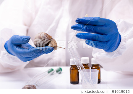A scientist in a protective suit with a snail in his hands. Study of the properties of snail mucin. The use of snail mucus in cosmetology. Skin care and beauty concept 91619015