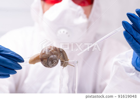 A scientist takes mucin from a snail in a test tube. Study of the properties of snail mucin. The use of snail mucus in cosmetology. Skin care and beauty concept A scientist takes mucin from a snail in a test tube. Study of the properties of snail mucin. The use of snail mucus in cosmetology. Skin care and beauty concept 91619048