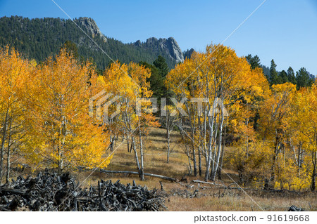 Colorado Fall Scenery Colorado Fall Scenery 91619668