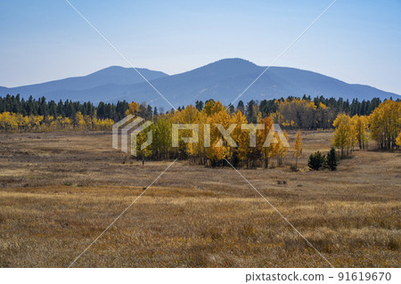 Colorado Fall Scenery Colorado Fall Scenery 91619670