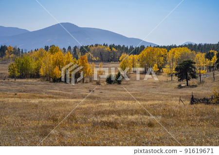 Colorado Fall Scenery 91619671