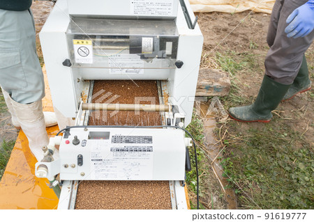 Seeding with a planter at a rice seedling house 91619777