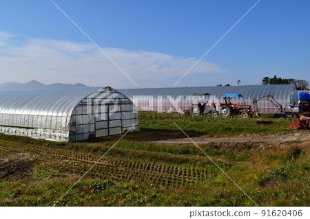 溫室大棚栽培 91620406