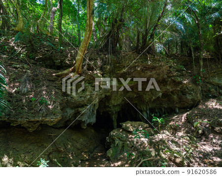 Iriomote Island limestone cave 91620586