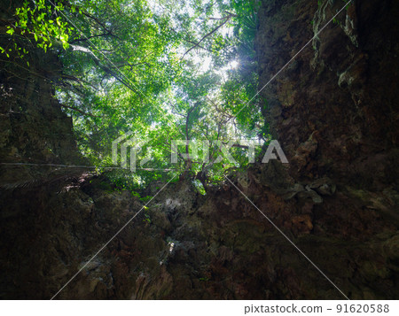 Iriomote Island limestone cave 91620588