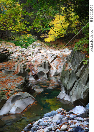 河流和紅葉(大分縣文古野市) 河流和紅葉(大分縣文古野市) 91621045