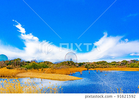 Scenery of Kasai Rinkai Park 91621592