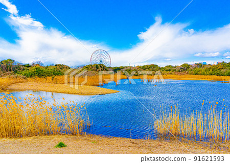Scenery of Kasai Rinkai Park 91621593