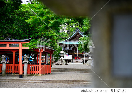Kamo shrine Kamo shrine 91621801
