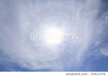Daylight 91622439