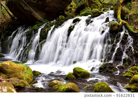 Fresh green former falls underwater water 91622631