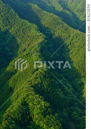 Fresh green namego valley 91622654