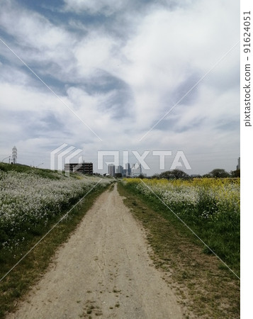 Near the old market on the riverbed of the Tama River 91624051