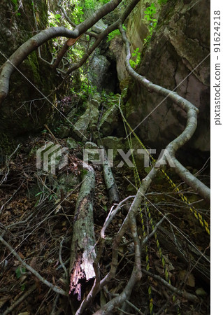 Kawachi Gengyoja Cave 91624218