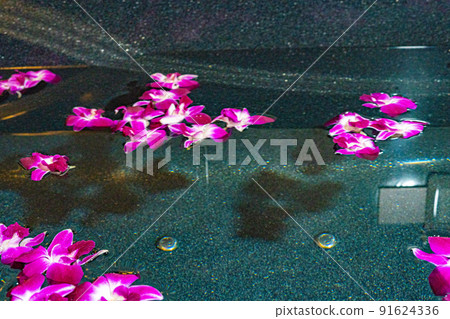 花浴 花浴 91624336