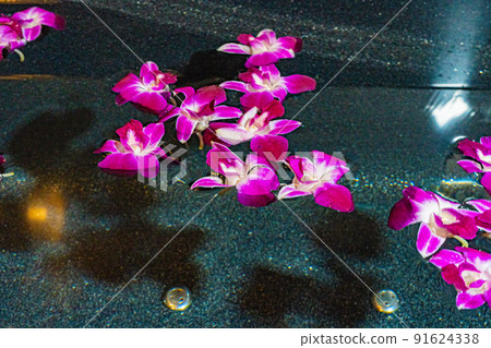 花浴 花浴 91624338