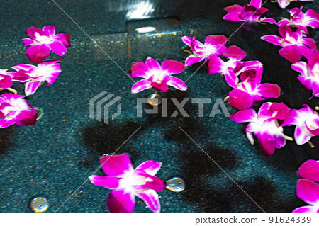 花浴 花浴 91624339