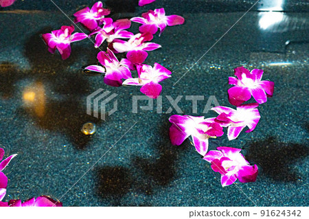 Flower Bath 91624342