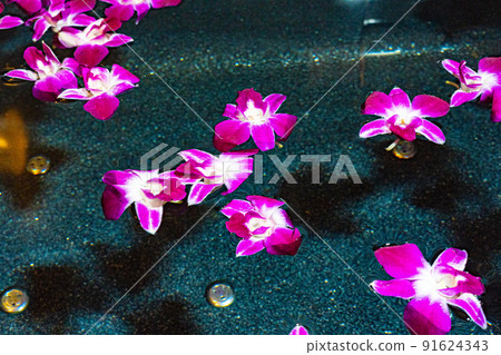 Flower Bath 91624343