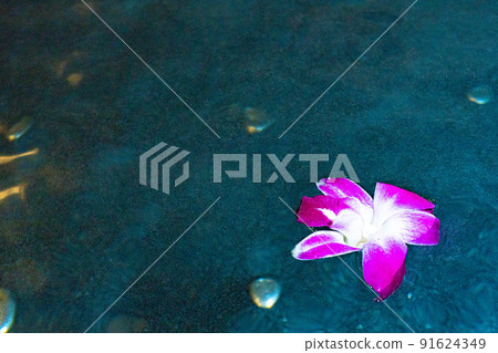 花浴 花浴 91624349