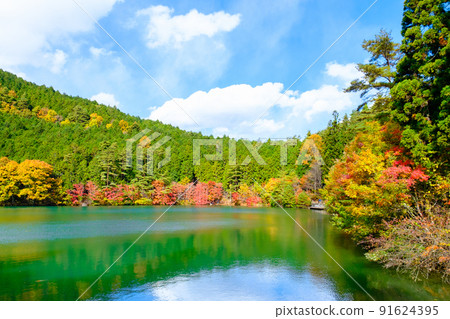Lake Inaga (Autumn) 91624395