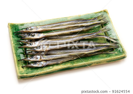 Ehime's specialty, halfbeak 91624554