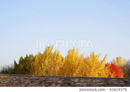 Autumn images Autumn images 91624576