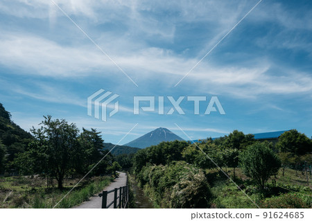 Mt. Fuji / Sightseeing in Summer 91624685