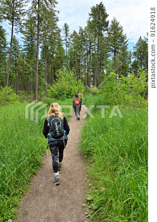 Young female hikers on Lion Mountain Trail near Whitefish, Montana. 91624918