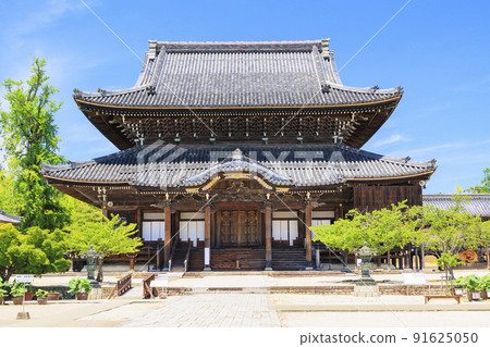 高田元山千壽寺盛開的哈斯 高田元山千壽寺盛開的哈斯 91625050