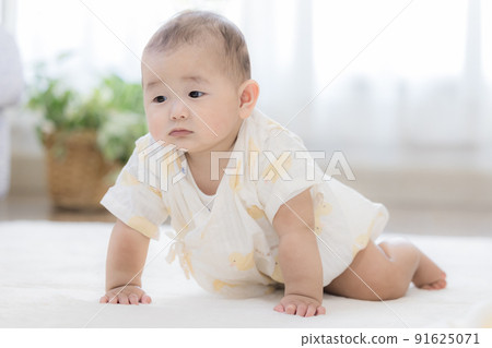 6 month old baby portrait 6 month old baby portrait 91625071