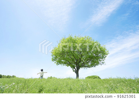 A child reaching out in a meadow with a tree 91625301