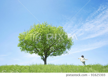 A child reaching out in a meadow with a tree 91625303