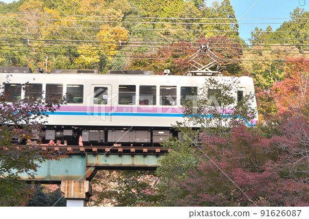 Eizan Electric Railway running in the mountains dyed in red and yellow-near the "Maple Tunnel" Eizan Electric Railway running in the mountains dyed in red and yellow-near the "Maple Tunnel" 91626087